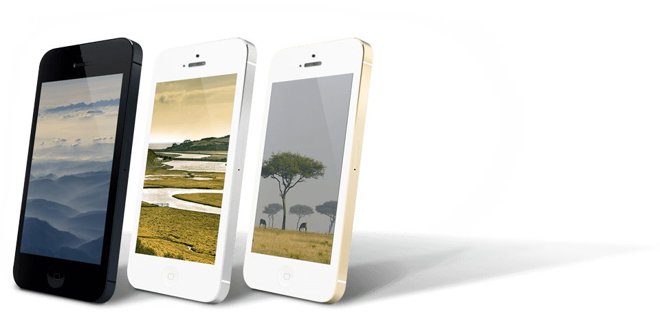 home-nature-image-1 ss