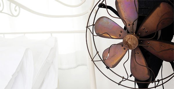 light-what-we-do-image-3 ss